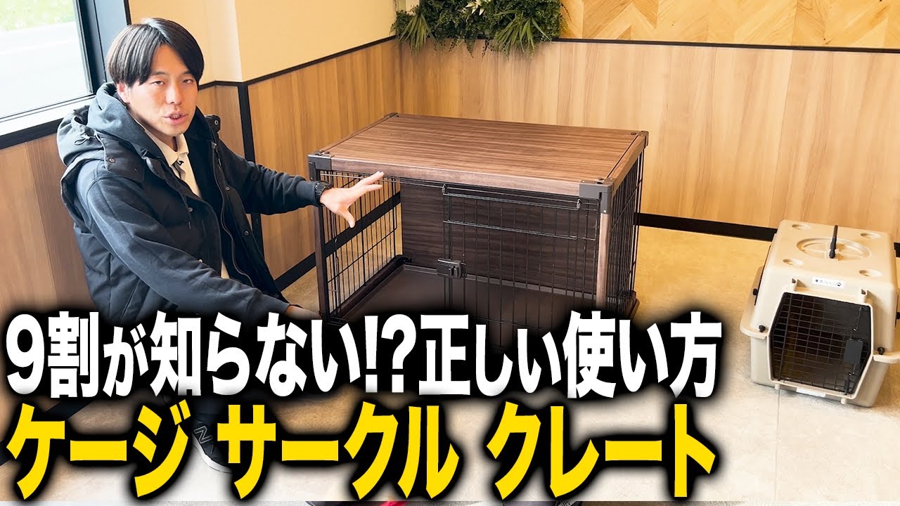 ケージ・クレート・サークルの正しい使い方の動画サムネイル（YouTubeで動画を見る）